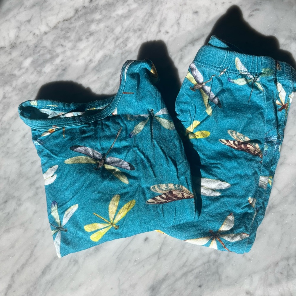 Posh Peanut Girls Dragonfly PJs!